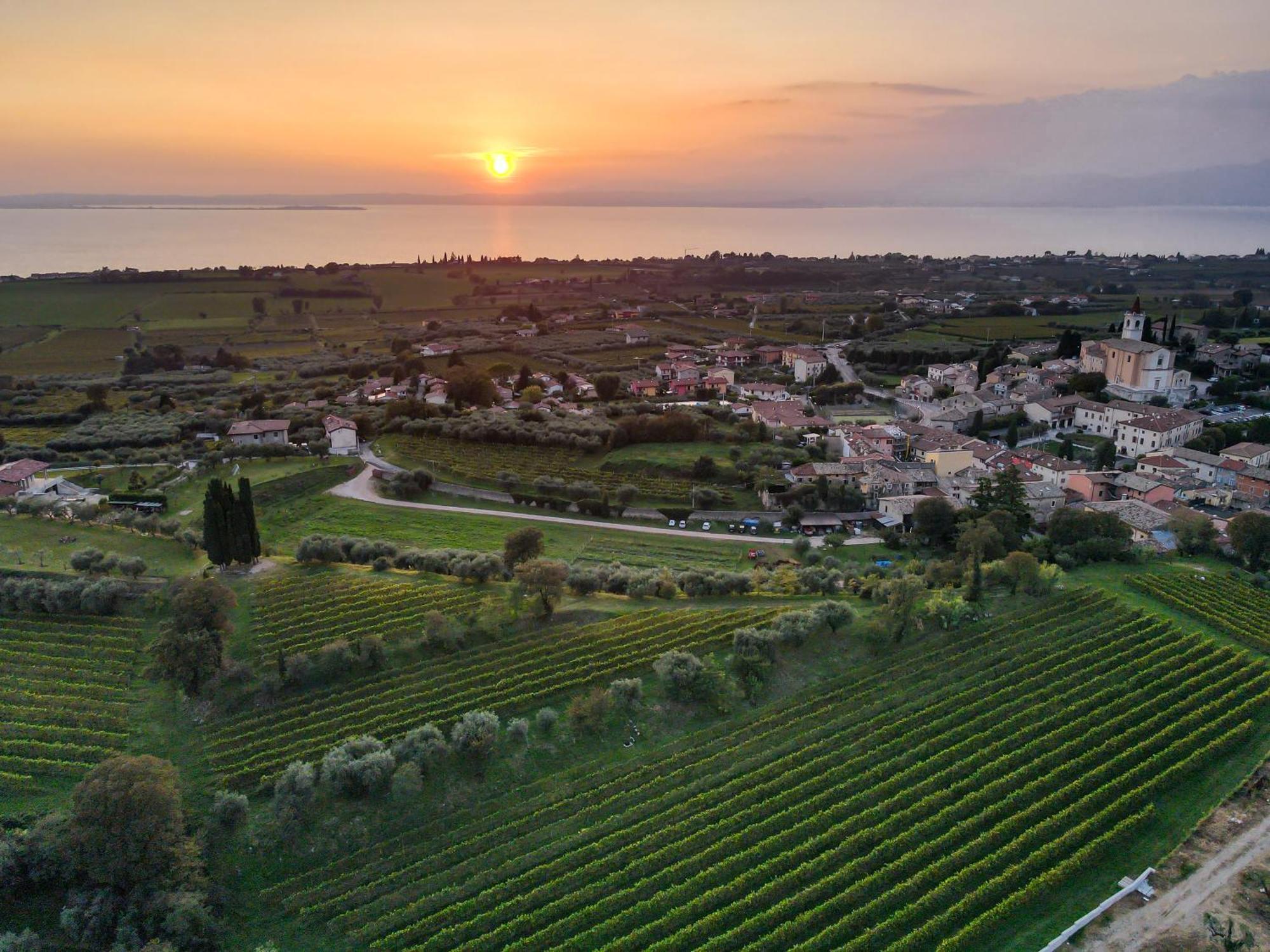 Villa Calicantus Bardolino Exteriör bild